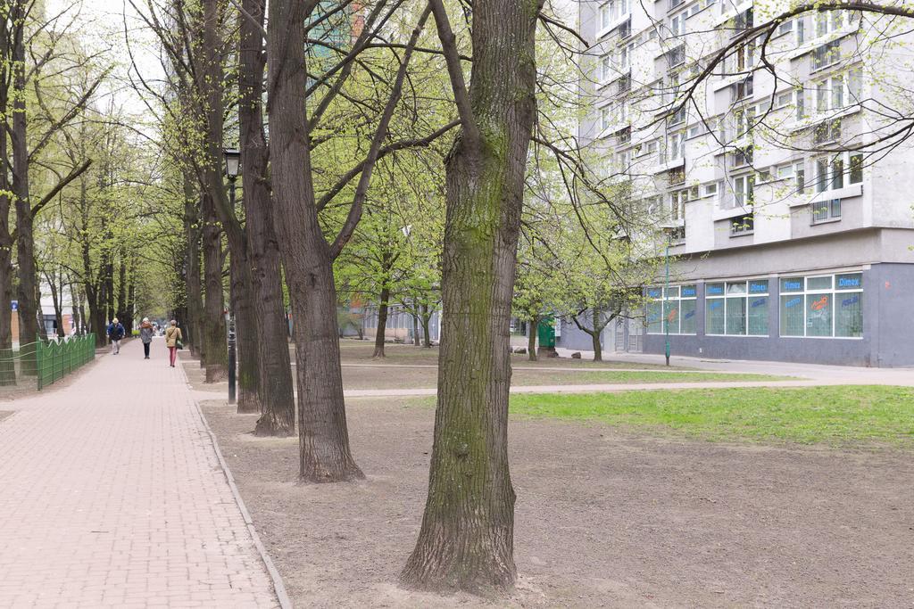Studio Grzybowska - Warsaw Center Zimmer foto
